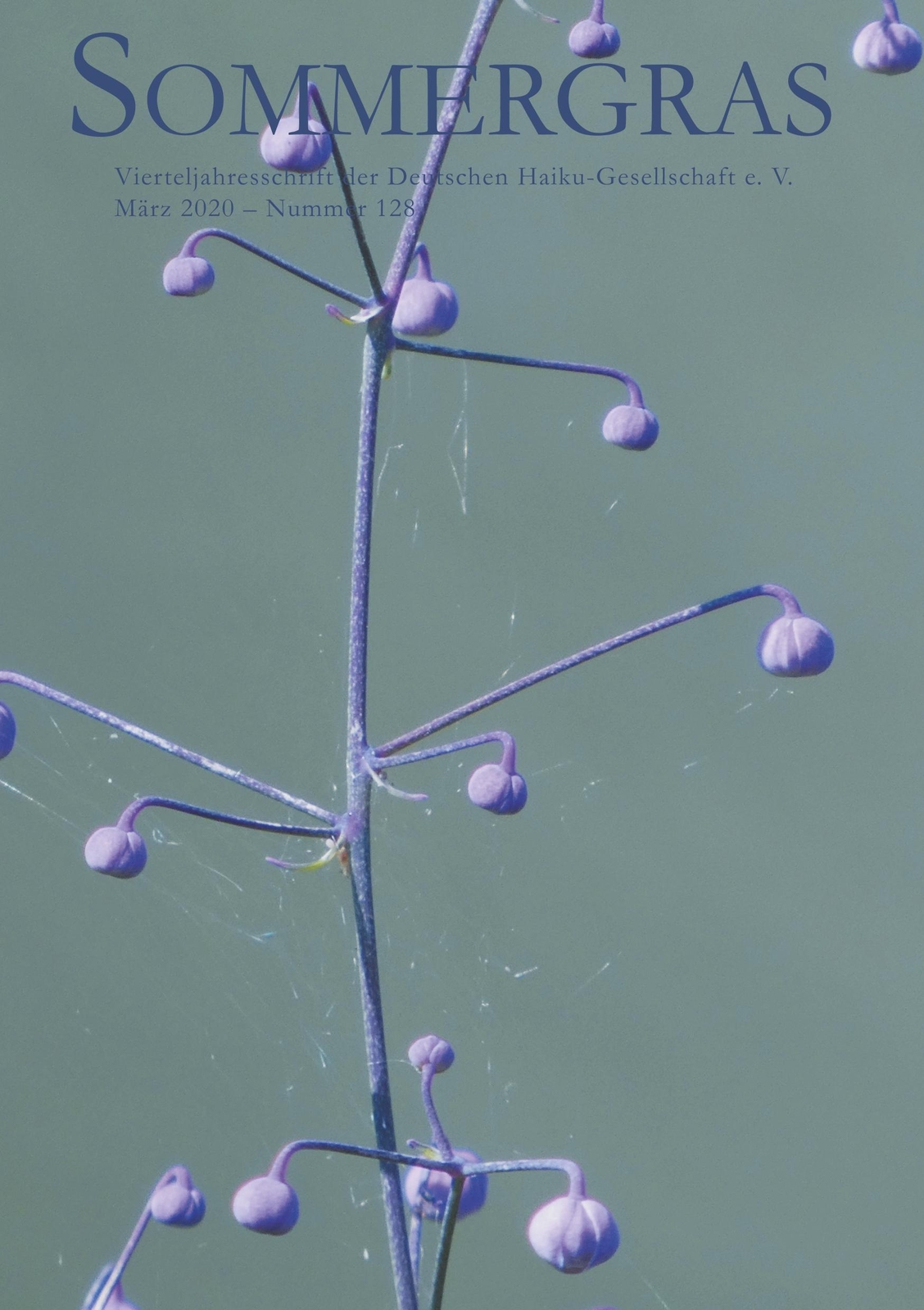 Sommergras 128 | Buch | 9783752855081