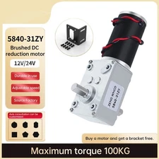 Dual-Axis 5840-31ZY DC 12V24V Worm Gear Self-Locking Motor with Full Metal Gears