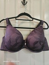 Cacique Boost Plunge Bra Purple Lace Accent Padded Underwire 44D
