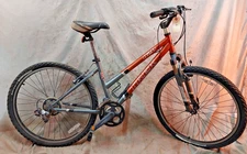 2005 Trek 820 MTB Bike 16" Small Hardtail Step-Thru Steel Triple Cafe Commuter ~
