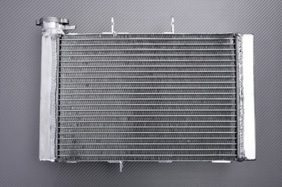 Water Cooler Radiator Racing Type Triumph Trident 660 / Trident 660 2021 - 2024