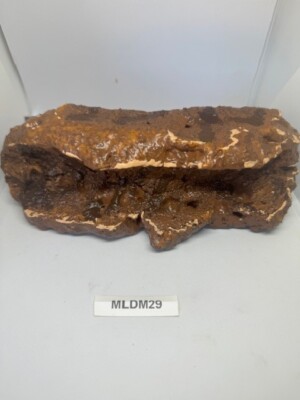 Magnetic Rock Ledges For Terrariums And Cages Desert Medium