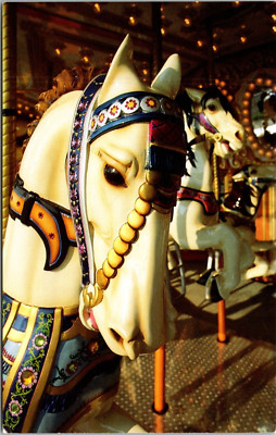 Antique Carousel Pedroland South of the Border South Carolina Postcard B76