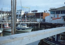 Fisherman's Grotto Tarantino's Alioto's Restaurant Signs 1951 Glass Color Slide