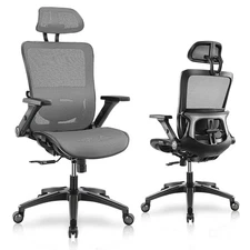 Ergonomic Office Chair, High Back Mesh Office Chair with 4D Adjustable Flip-U...