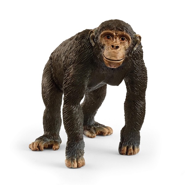 Schleich Wild Life Schimpanse 14883 Detailgetreue Tierfiguren Zoo Spielzeu-image