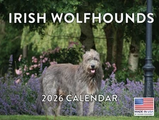 Irish Wolfhound Calendar 2026 Monthly Wall Calender 12 Month