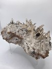 Incredible! 1.519 kg Quartz W/ Hematite Blades (Roses) Natural Crystal Specimen — photo 4