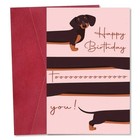 Whimsical Dachshund Dog Happy Birthday Card With Envelope Blank Inside Gift 1PC