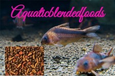 ABF SUPER CATFISH MIX,Bottom Feeders,Krill,Spirulina,Cory Catfish,Loach,ABF57W2