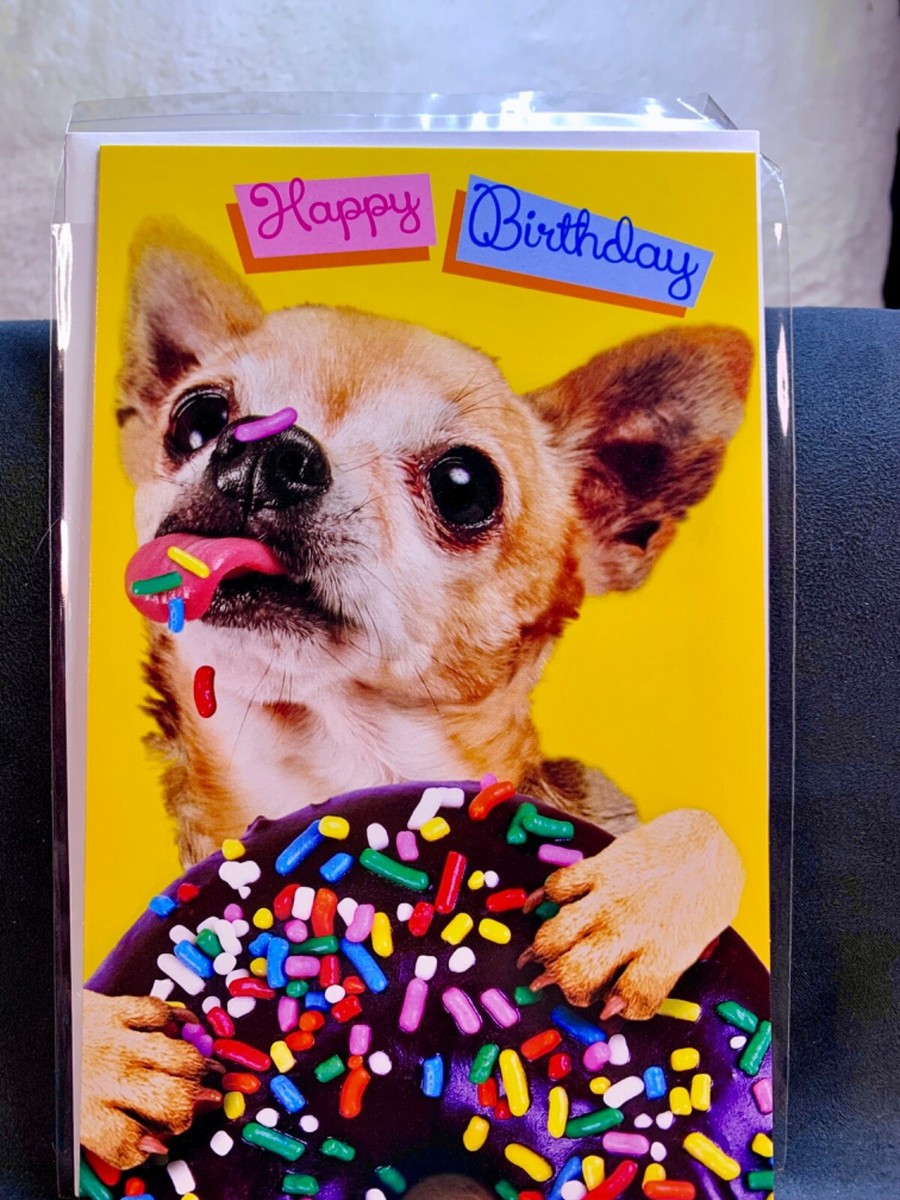 Happy Birthday Card! Delicious Message from Chihuahua!