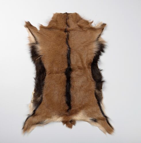 1 pièce véritable fourrure antilope peau cache tapis en peau de chèvre cuir vêtements accessoires - Photo 1 sur 12