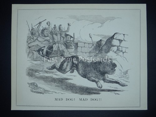 The Crimean War MAD DOG! MAD DOG!! - Original 1854 Victorian Print - Picture 2 of 2