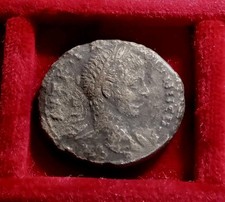  on The Hot Collector