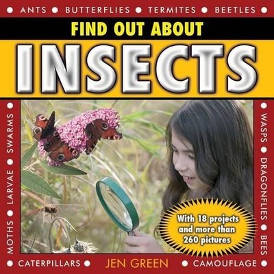 Find Out About Insects by Jen Green - 9781843229803