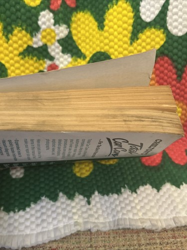 Repair Manual-SE Chilton 30150 - Picture 8 of 9