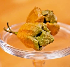 25+ Pepper X Seeds for Extremely Spicy Garden Planting - USA - FREE SHIPPING!