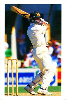 ACB Maxi card 1995-96 scarce cricket card from the Warne and Steve & Mark Waugh