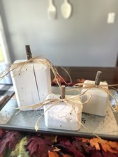 Rustic Wooden Farmhouse Pumpkins Handmade White Set Of 3 Fall Decor