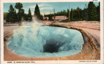Vintage Postcard 1930-1945 Morning Glory Pool, Yellowstone NP, Wyoming (WY)