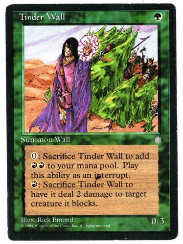 Magic the Gathering MTG Tinder Wall Ice Age LP | eBay