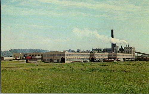 1950'S. NORTHWEST PAPER CO. CLOQUET, MN POSTCARD. SM11