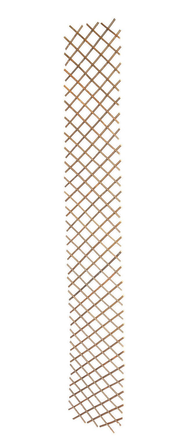 Expanding Willow Trellis Garden Climbing Plant Clematis Rose Trellis 6ft x 1ft