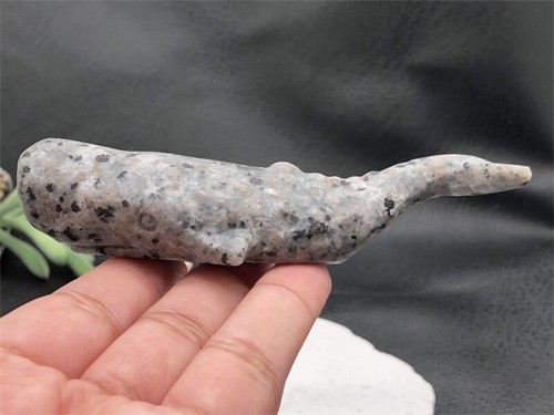 4.7" Yooperlite whale Natural Hand Carved Crystal Skull Reiki Crystal Decor 1pc - Picture 13 of 20