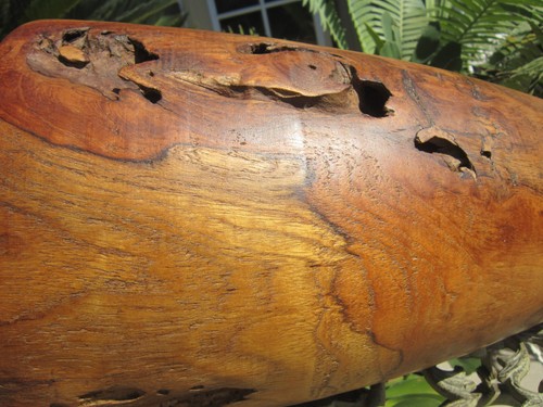 Huge earlie Antique carved Natural grain Burl Wood wooden Floor Vase 15.5" - Picture 7 of 11