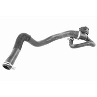 Vaico V25-1164 KüHlerschlauch FüR Ford, Unten