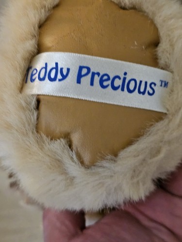VTG Dandee Bear Plush Indian Native American Stuffed Boy Teddy Precious #89334 - Picture 3 of 5