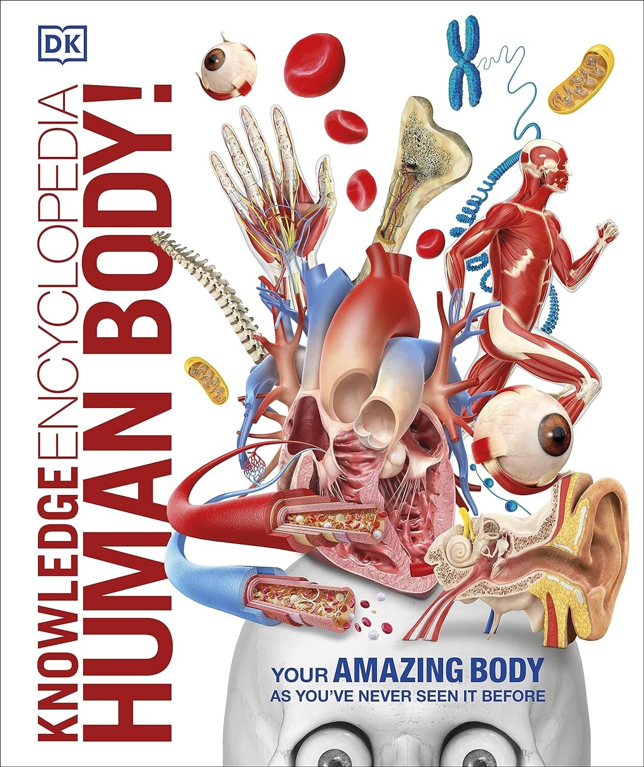 Knowledge Encyclopedia Human Body! (Knowledge Encyclopedias) Book | DK NEW - Image 12