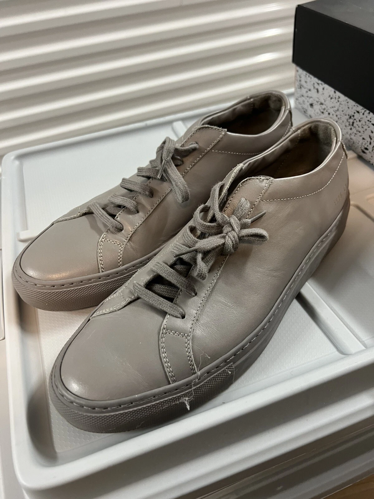 COMMON PROJECTS Progetti Comuni Achille Basso Grigio 41