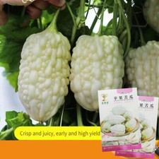 Etwa 15 Pcs Weißer Apfel -Weiße Melonensamen Leicht Ohne Gvo Zu Kultivieren J