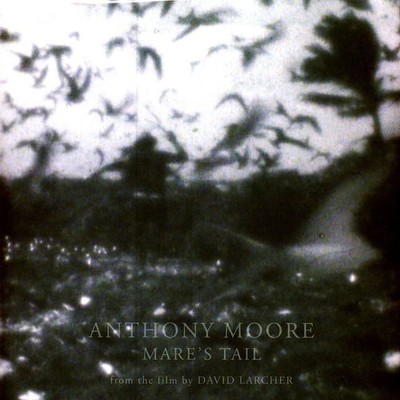Anthony Moore - Mare's Tail (Vinyl LP - 2024 - EU - Original)