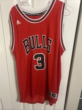 Chicago Bulls Collecting and Fan Guide 17