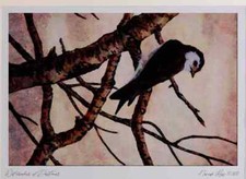 Image of 591082 Violet Green Swallow Limited Edition Watercolour Print