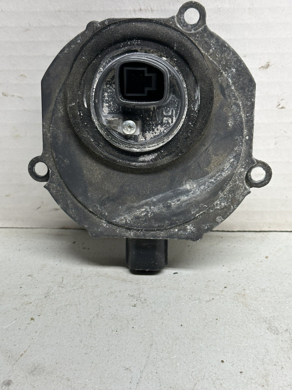 Picture 2