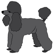 Toy Poodle Dog Decal Dog Lover Decor Vinyl Sticker