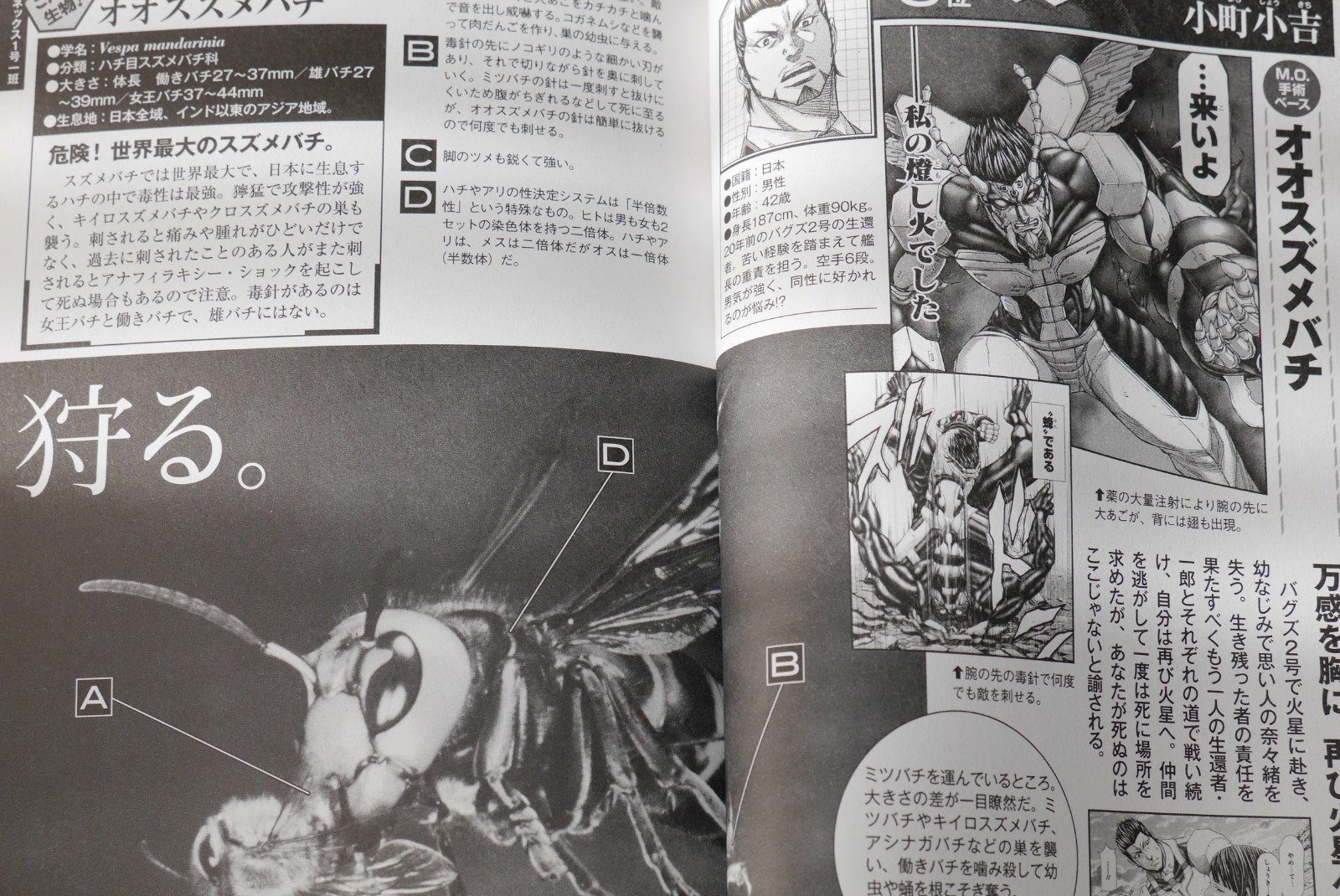 Japan Terra Formars Official Character Seibutsu Zukan Guide Book Ebay