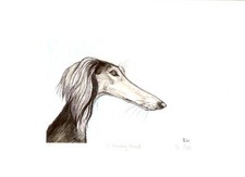 Tirage d'art Saluki édition limitée par l'artiste britannique Elle Wilson A Glancing Moment #12