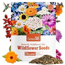 All Perennial Wildflower Seeds Bulk, 1/4 Lb, 100,000 Seeds, 26 Variety Mix