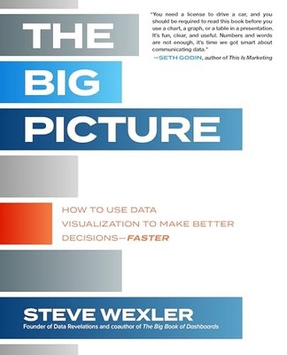 BIG PICTURE HOW TO USE DATA VISUAL by Steve Wexler Paperback Self Help Business