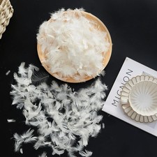 Bulk Goose Down Feather Stuffing  Fill   Hypoallergenic Pillow Filling, Repa...