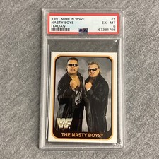 1991 Merlin WWF #2 The Nasty Boys Italian PSA 6