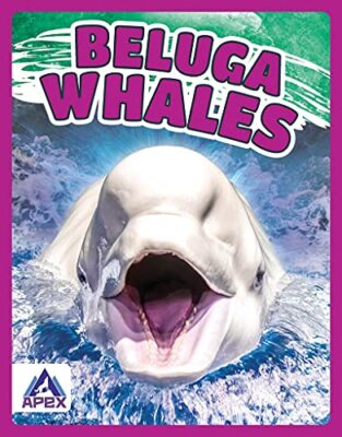 Giants of the Sea: Beluga Whales by Angela Lim (Hardcover, 2021)