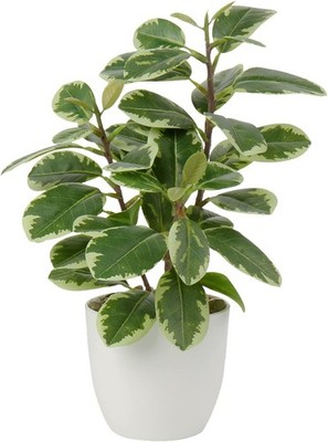 28cm Kunstpflanzen im Topf für Heimdekoration Künstliche Zimmerpflanze Camellia