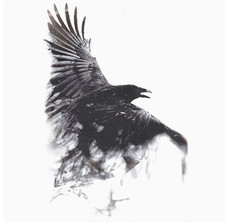 Temporary Large Realistic Eagle Tattoo Black Bird Art Waterproof Sticker HB850