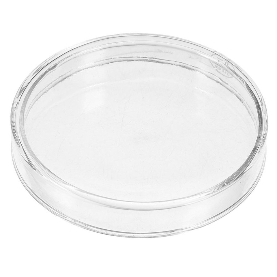Glass Cell Culture Dish Science Plate Glass Culture Dish Petri Dish