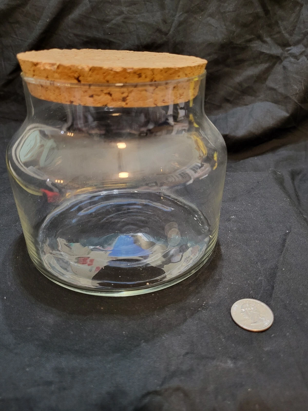 Modern Wide Mouth Medium Corked Clear Glass Canister - Kitchen/ Bath Storage